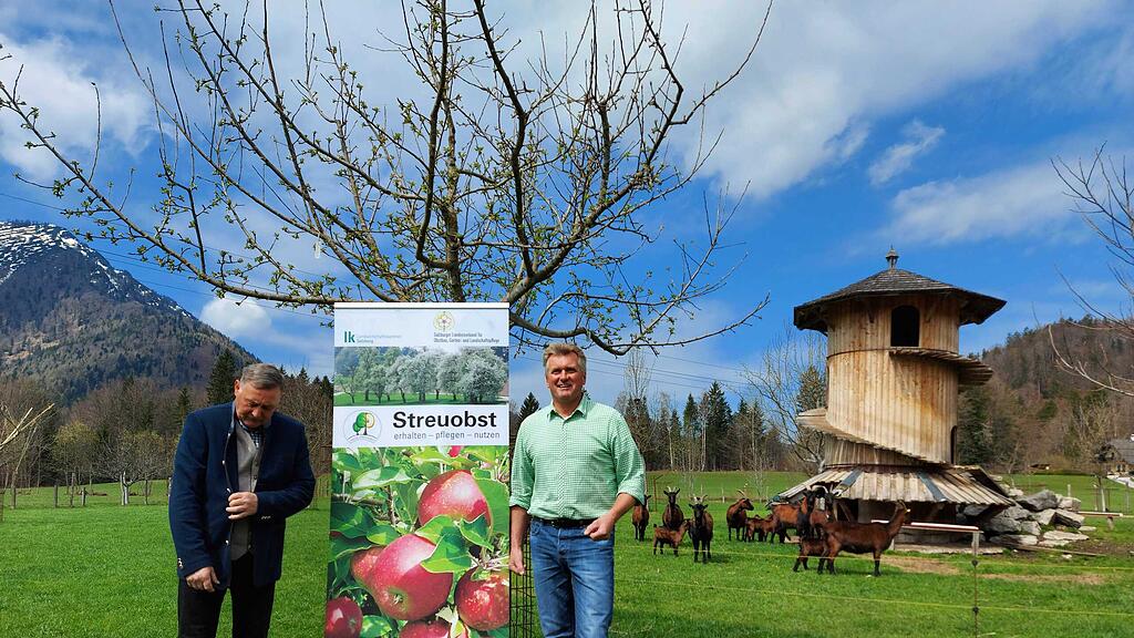 Streuobstwiese