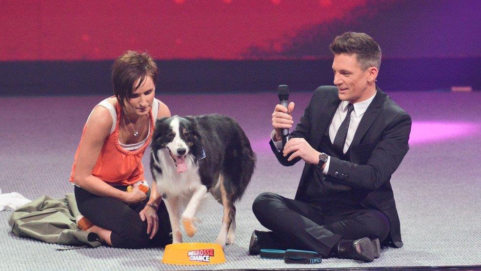 Die große Chance: Finale am 9. November