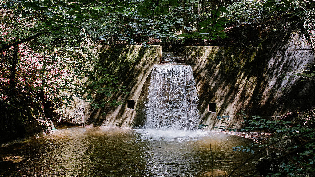 Alterbach, Gaisberg-12.jpg