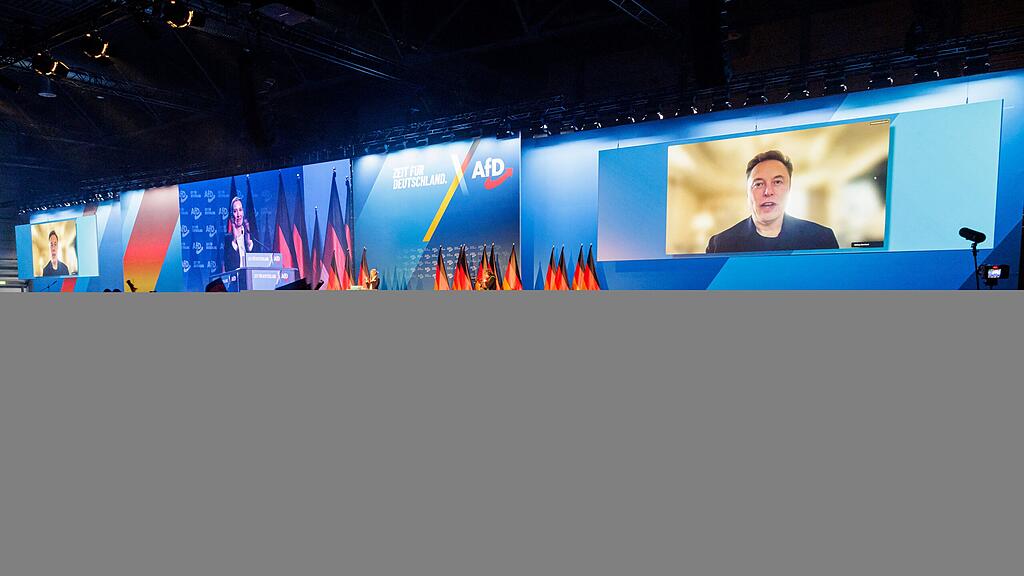 Musk Weidel Afd