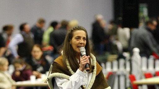 Festival der Hunde im Messezentrum Salzburg