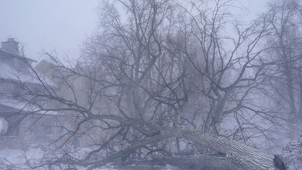 Wintersturm und K\u00e4ltewelle in den USA