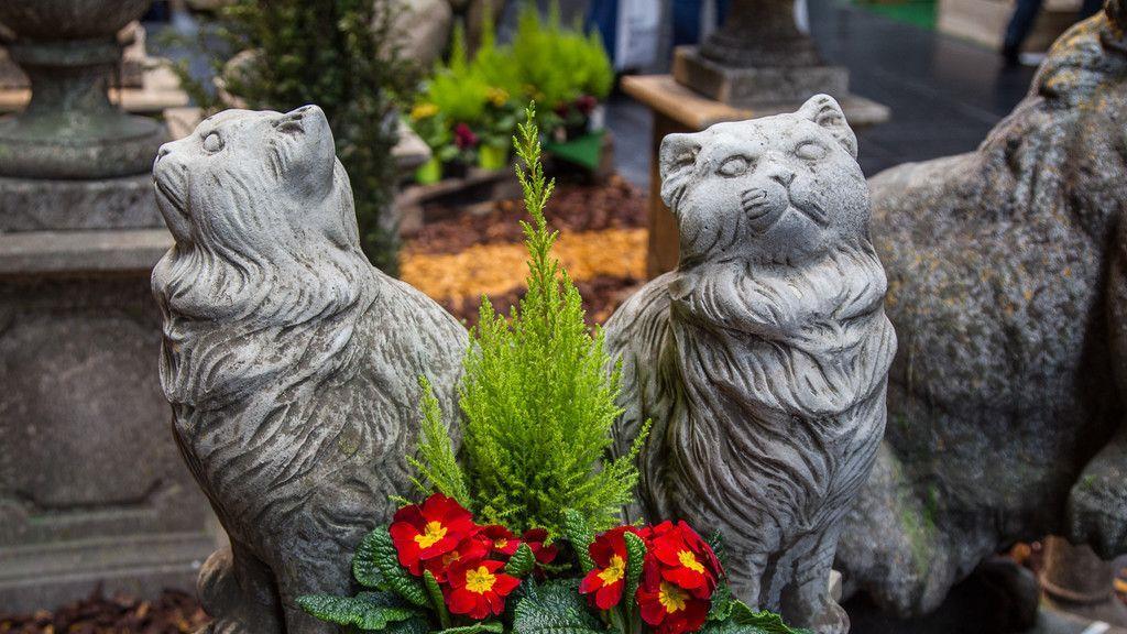 Garten Salzburg II