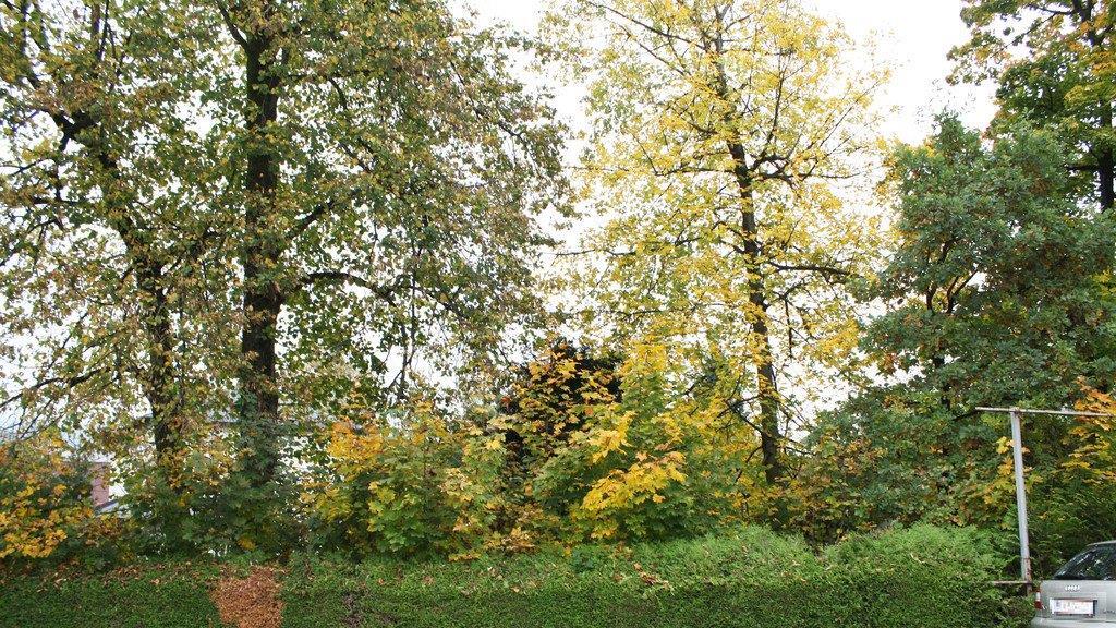 Hier soll gebaut werden