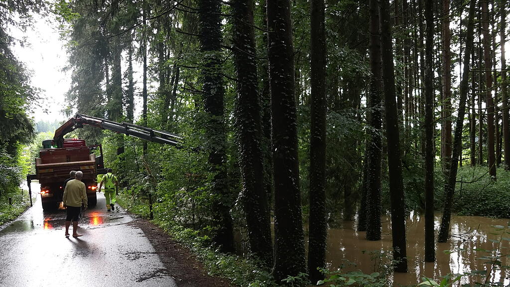 Regen im Flachgau II