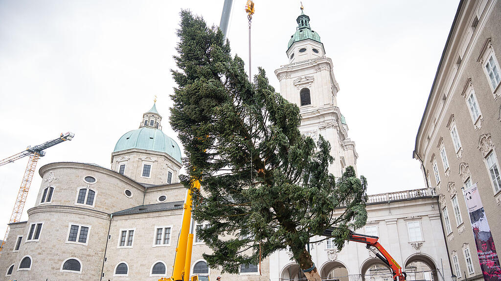 Baum am Christkindlmarkt eingetroffen