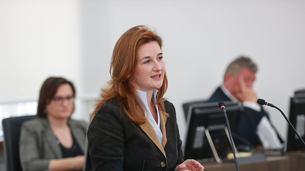 svazek hearing salzburger landesregierung