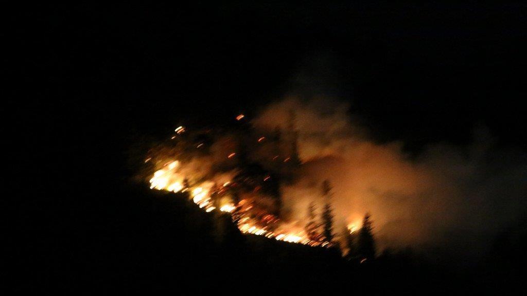 Waldbrand am Thumsee, II
