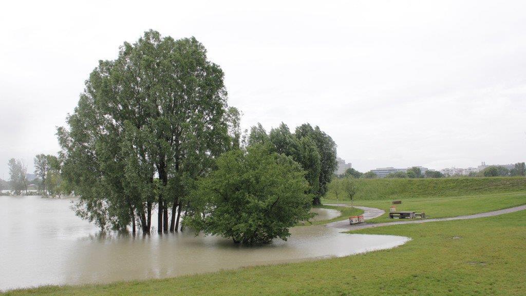 Hochwasser in Wien (Copa Cagrana)