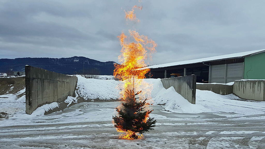 Christbaumbrand