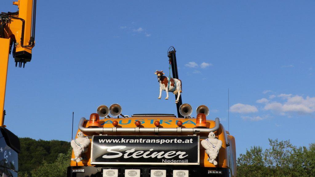 Truckertreffen in Puch II