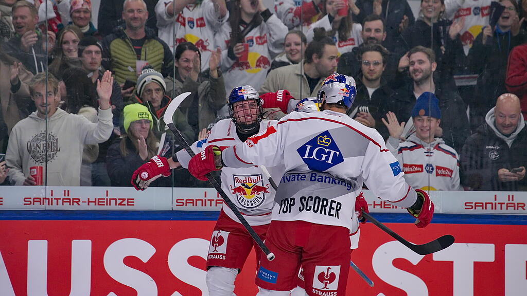 Eisbullen gegen Eisbären Berlin