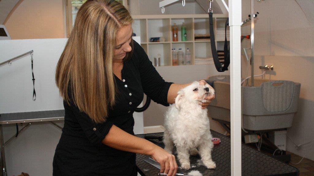 Die Hundefriseurin und ihr "Felldorado"