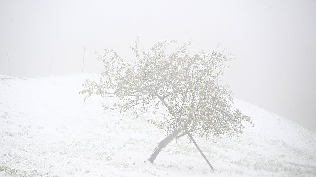 symb_winter_schnee