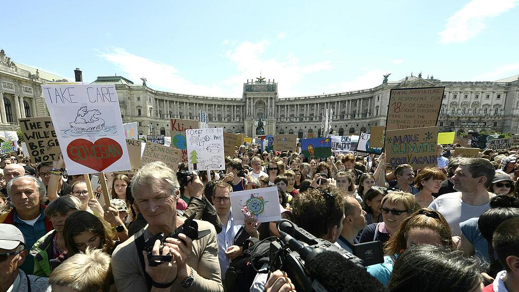 Demo, Fridaysforfuture, Wien