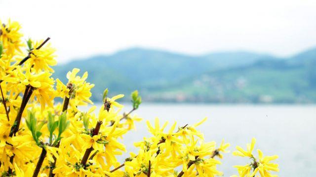 Frühling in Oberösterreich