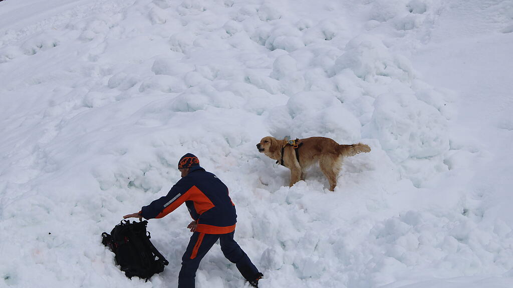 Lawinenhunde Bergrettung Training