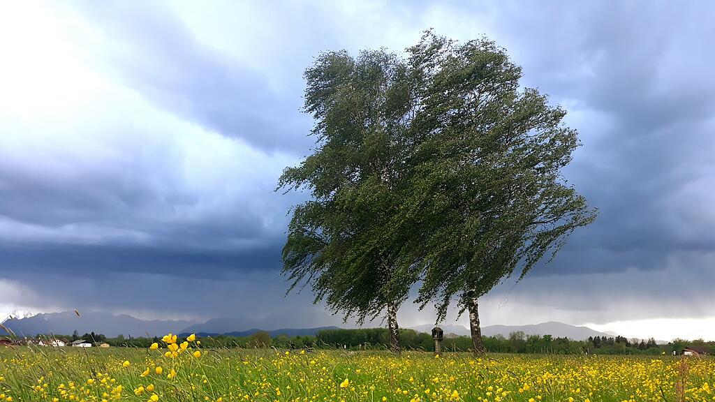 Aprilwetter im Mai