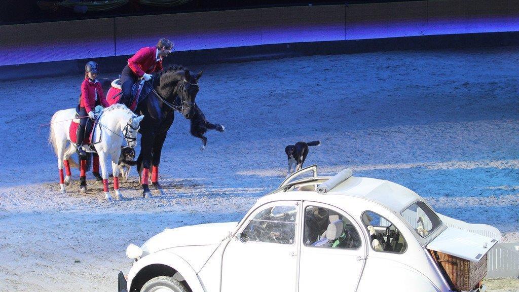 Mevisto Amadeus Horse Indoors 2014 in der Salzburgarena