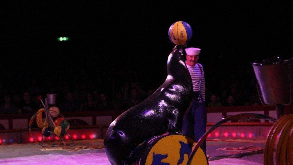 Circus Krone in Traunstein