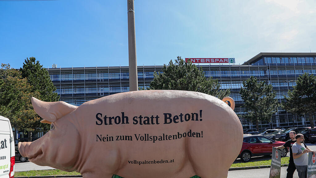 VGT Protest "Grunzi"