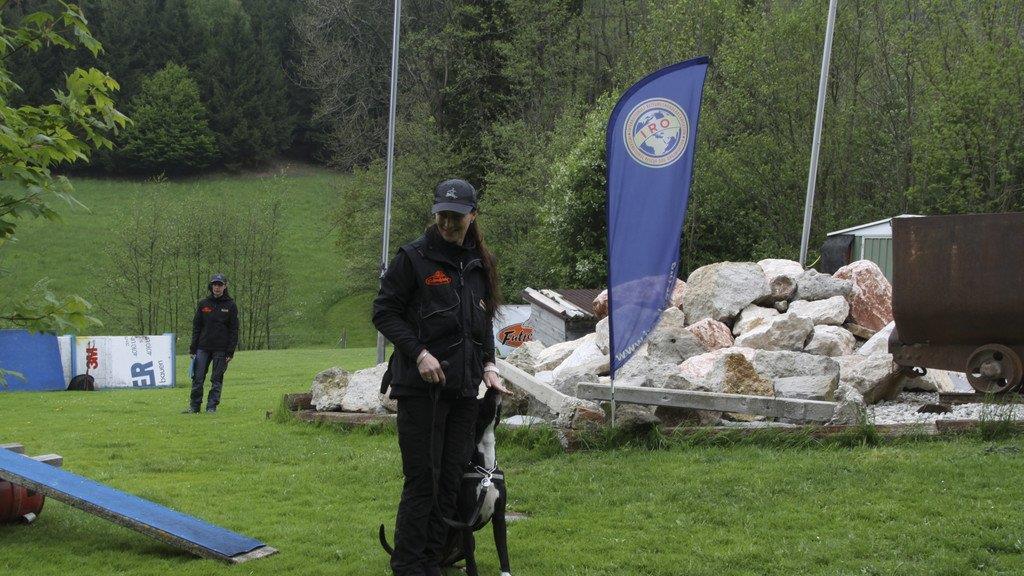 Tag der Rettungshunde