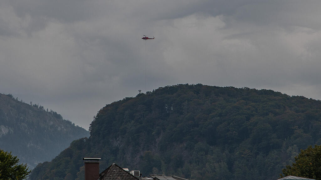 20190917_fmt_Tansportflug_kapuzinererg_mw-1.jpg