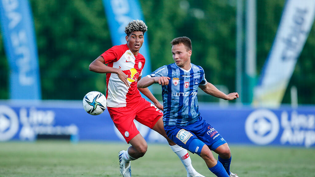 Matthias Seidl, BW-Linz, FC Liefering