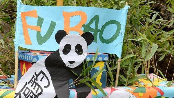 Fu Bao feiert