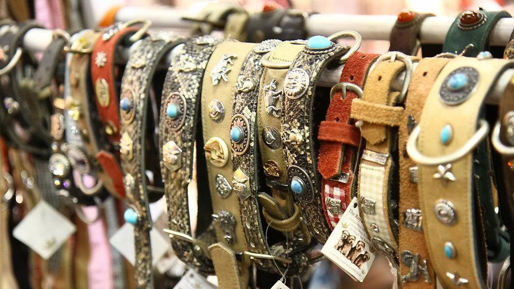 Festival der Hunde im Messezentrum Salzburg