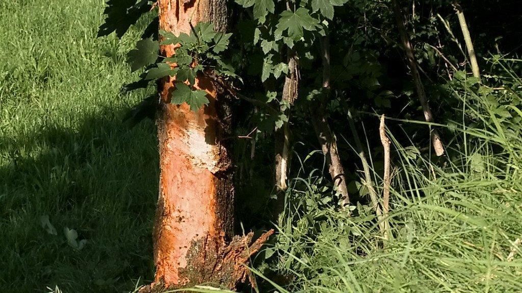 Tödlicher Crash auf B162