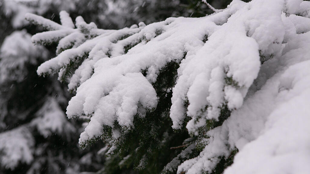 Schnee am Haunsberg