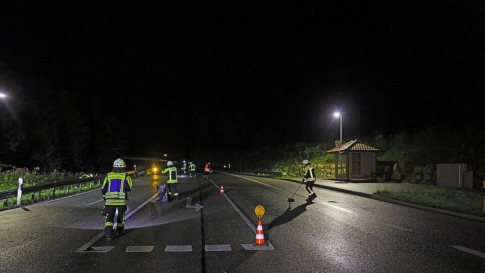 Pinzgauer Pkw-Lenker crasht in BGL