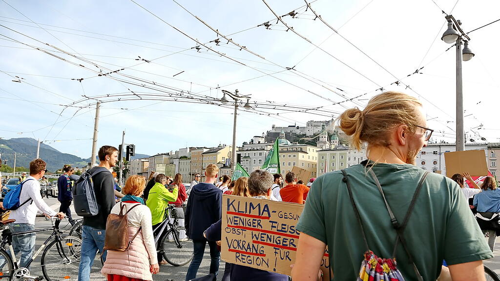 Klimastreik in Salzburg I