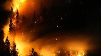 Waldbrand am Thumsee, III