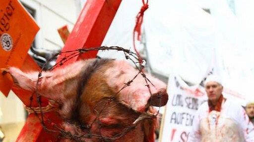 Tierrechtsdemo in Salzburg