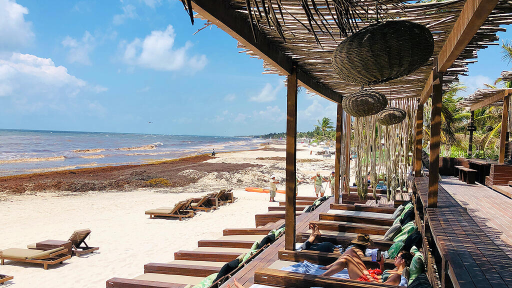 Algen, Strand Mexiko, Tulum