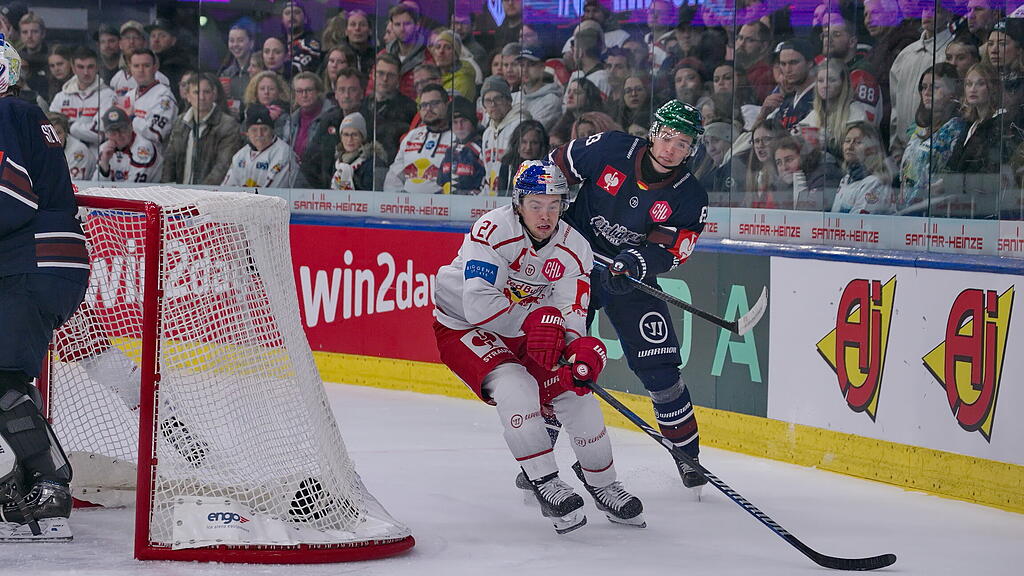 Eisbullen gegen Eisbären Berlin