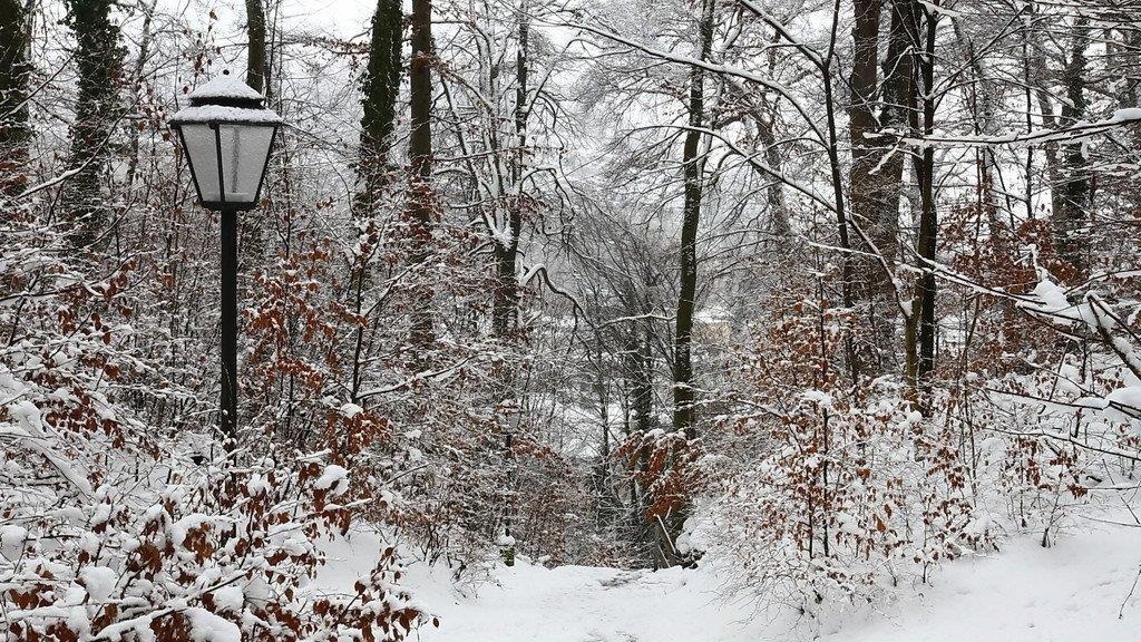 Winterimpressionen aus Salzburg