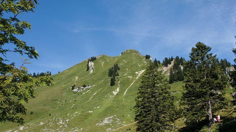 Wanderung zur Bischofsfellnalm