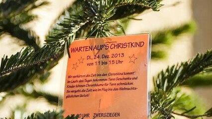 Warten aufs Christkind im Zoo