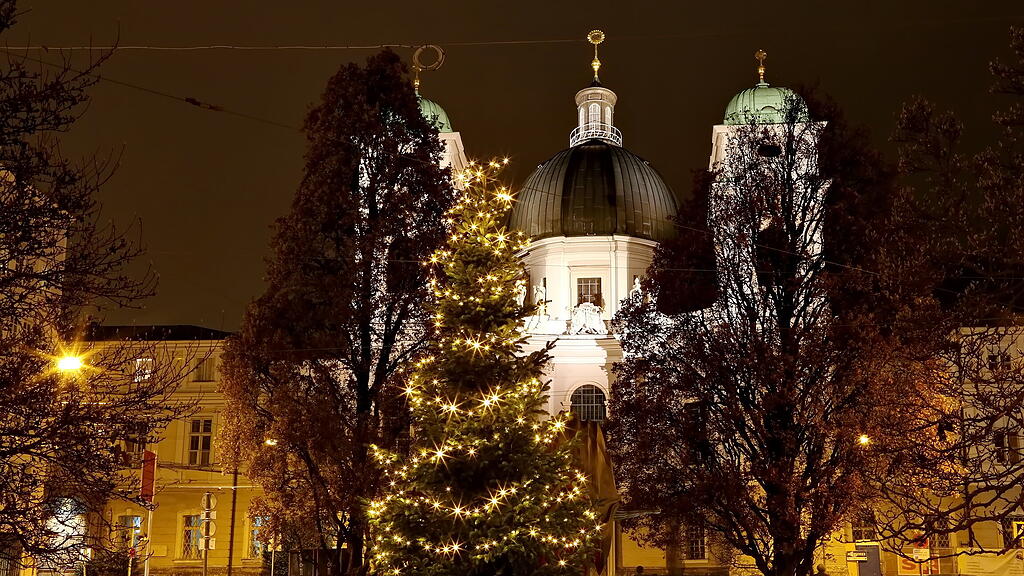 20201128_fmt_weinachtsbaum_KJ008.JPG