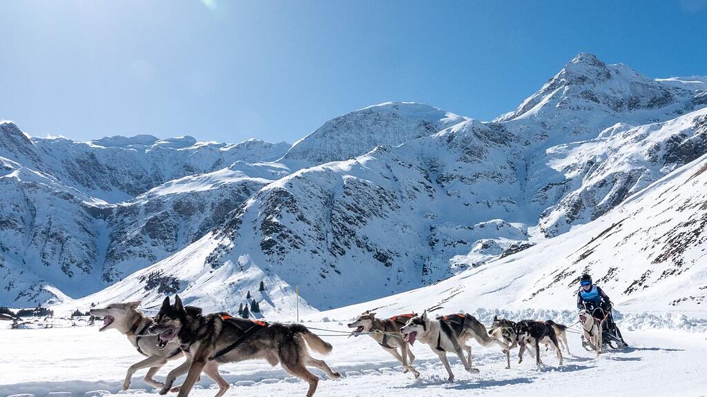 Schlittenhunde-WM in Sportgastein, Samstag