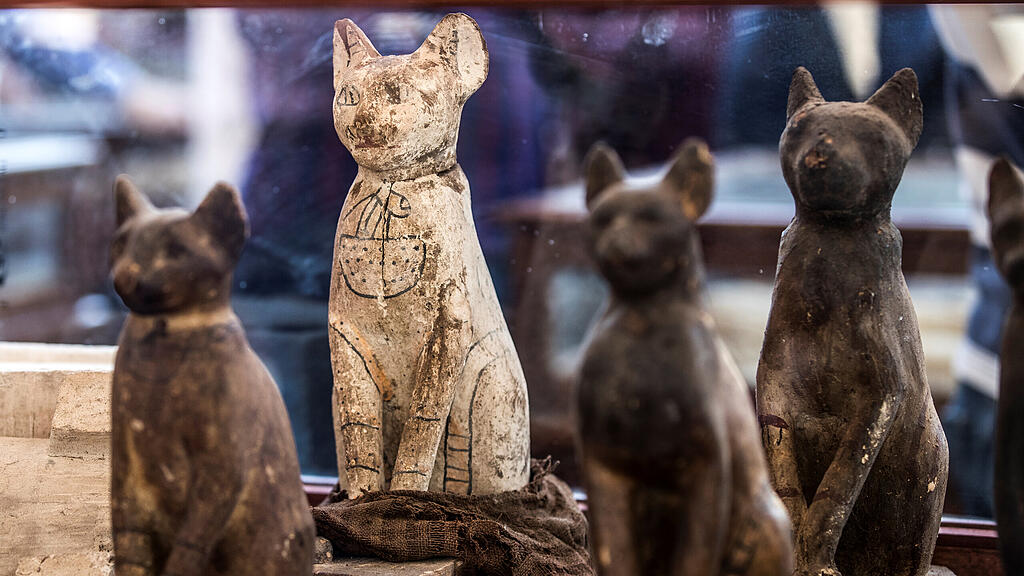 Mumifizierte Löwenbabys in Ägypten