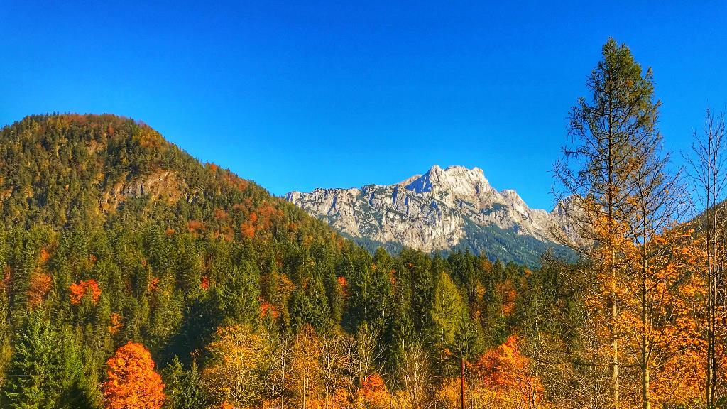 User-Bilder: Herbst in Salzburg