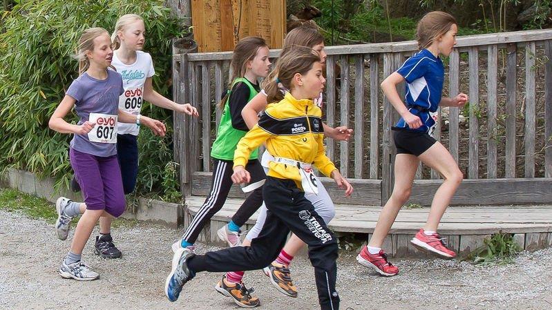 1. Salzburger Zoolauf