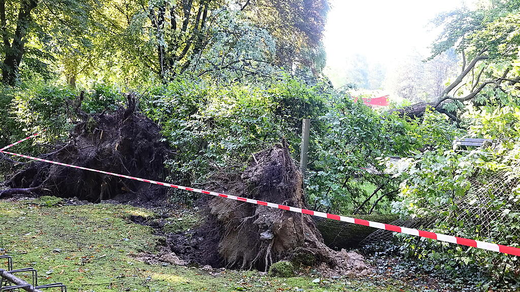 lepi unwetter schäden