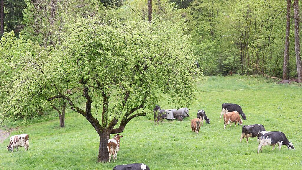 Neues Regionalsiegel vorgestellt