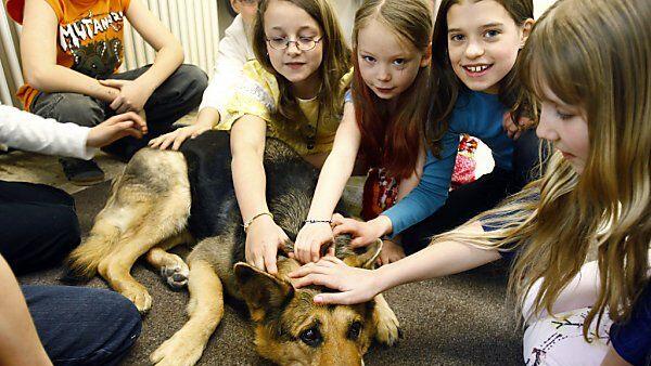 Kinder freuen sich über Tiere im Unterricht