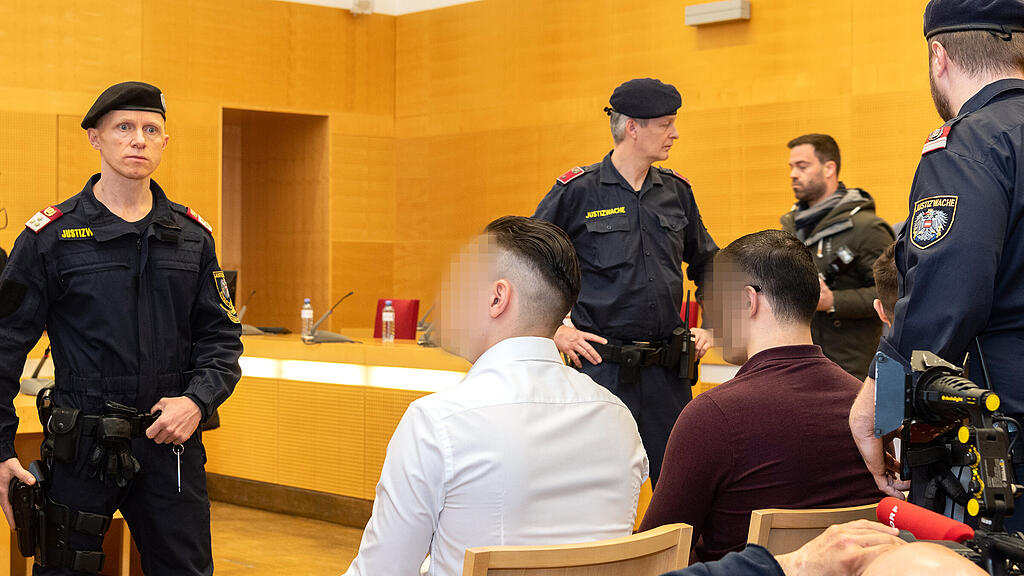OBERÖSTERREICH PROZESS NACH HOME-INVASION IN WELS =(2).jpg
